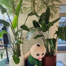 현대만물상 이미지