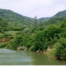 상주 운평리 구상화강암 이미지