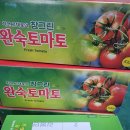 토마토 이미지