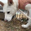 한아름 쉼터 이미지