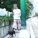 후석로 이미지