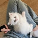 엄마미용실 이미지