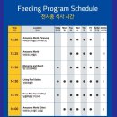 코엑스 아쿠아리움 친구랑 다녀온 후기 / 입장료, 수달 시간표, 사진 무료로 얻기