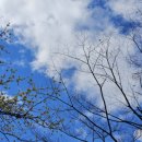 한진부동산중개사무소 이미지