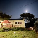별바당 | 제주 시골 감성 제대로 느낀 서귀포펜션 별바당 후기