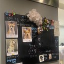 꽃길걷개 이미지