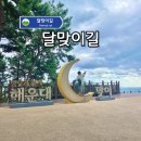 공영주차장옆길 | 맛집 카페 많았던 부산 해운대 달맞이길 코스 산책한 후기!