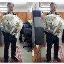 옥구지구대 이미지