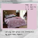이브자리코디센 이미지