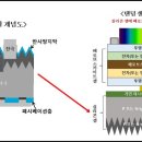 셀루 이미지