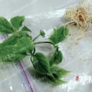 강산자연농장 이미지