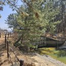 몽산포 해변 이미지