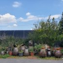 꽃피는 무화家 이미지