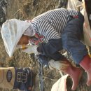 햇살농장 이미지