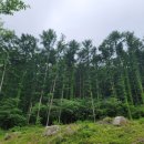 원주굽이길 13코스 구력재길 이미지