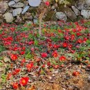 대흥사 서산대사박물관 이미지