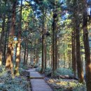 성판악 진달래밭 화장실 이미지