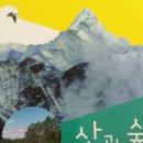 산과숲 이미지
