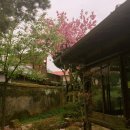 고니세탁소 이미지