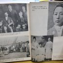 신태양사 이미지