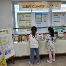 글꽃초교 이미지