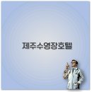 신라종합정비 | 2025 제주 수영장 호텔과 펜션 추천 파르나스 신라호텔 롯데호텔 소노캄 깔끔 정리