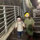 신 김우동 네이버블로그