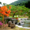 양평펜션베네 이미지