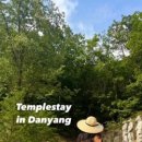 스테이 일목 이미지