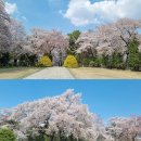 호암중앙2로 이미지