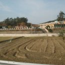 장산초교 이미지