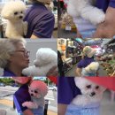 이부산농장 이미지