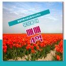 중원부동산중개사무소 이미지