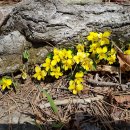 소백민박 이미지