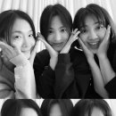 최희서 카카오 검색결과