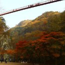 팔덕면사무소 이미지