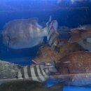 은골농원 이미지