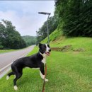 클로버리조트 이미지