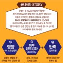 세라바디케어