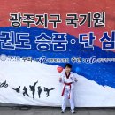 큰뿌리태권도 이미지