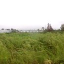 용흥마을회관 이미지