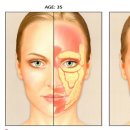 엘의원