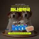 진고개약국 이미지