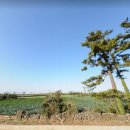 세림공인중개사사무소 이미지