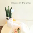 송송디저트 이미지
