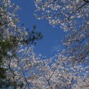 큰집닭강정(당고개점) | 진해 배달 치킨 맛집 가성비 닭강정 큰집닭강정 매운맛,뿌리링후기