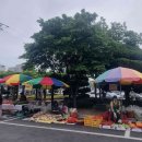 동해시-10 이미지