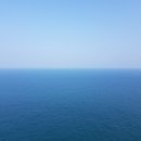 다누비 열차 이미지