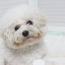 금나래동물병원 이미지