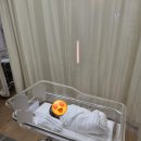더블유산부인과 | 대전 더블유 산부인과 | 둘째 제왕 후기